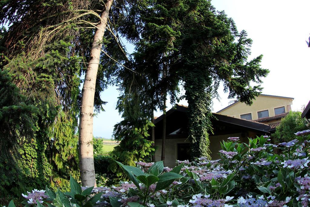 Le Soleil Villa Vigone Exterior photo